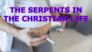 Neocenter Are there serpents in your Christian life?